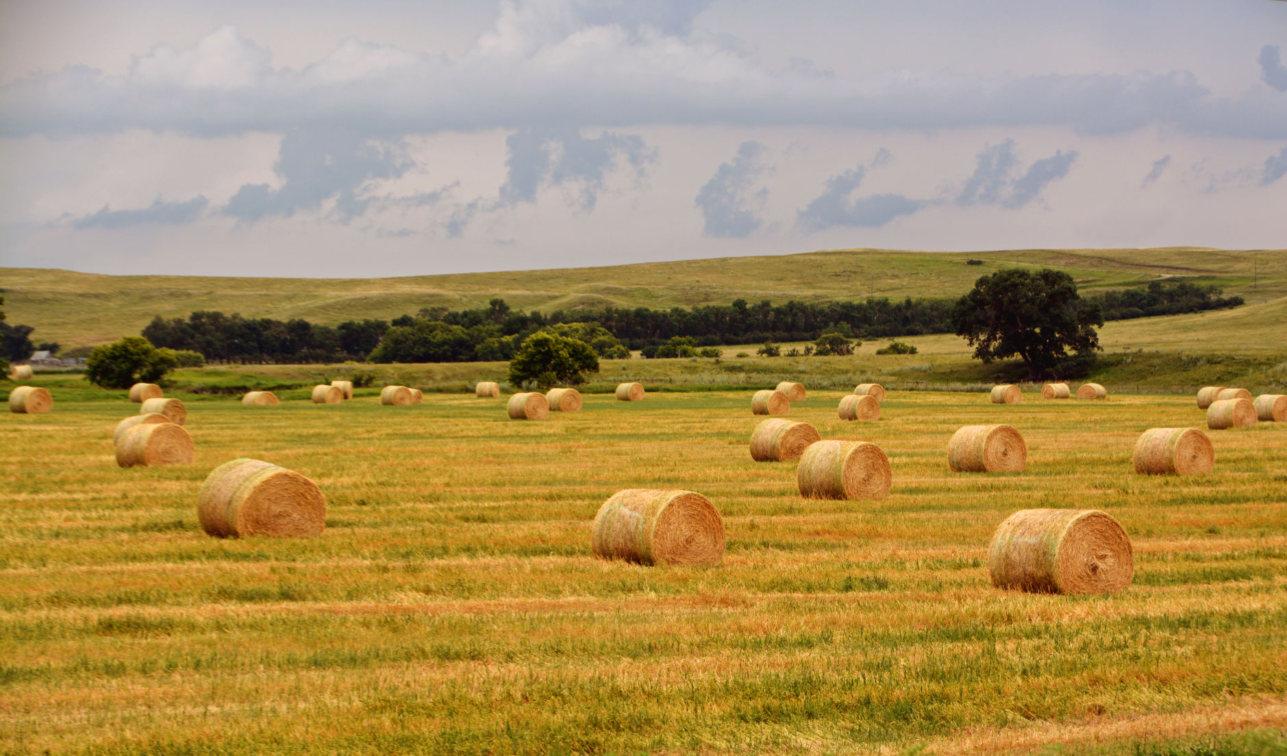 Fields of hay